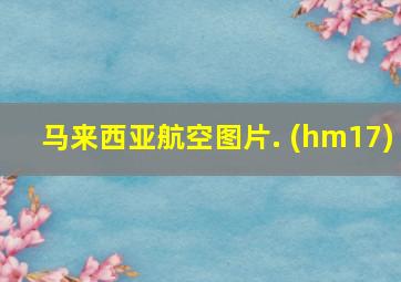 马来西亚航空图片. (hm17)